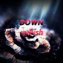DOWN FISH专辑