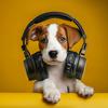 Separation Anxiety Dog Music - Soothing Canine Echoes