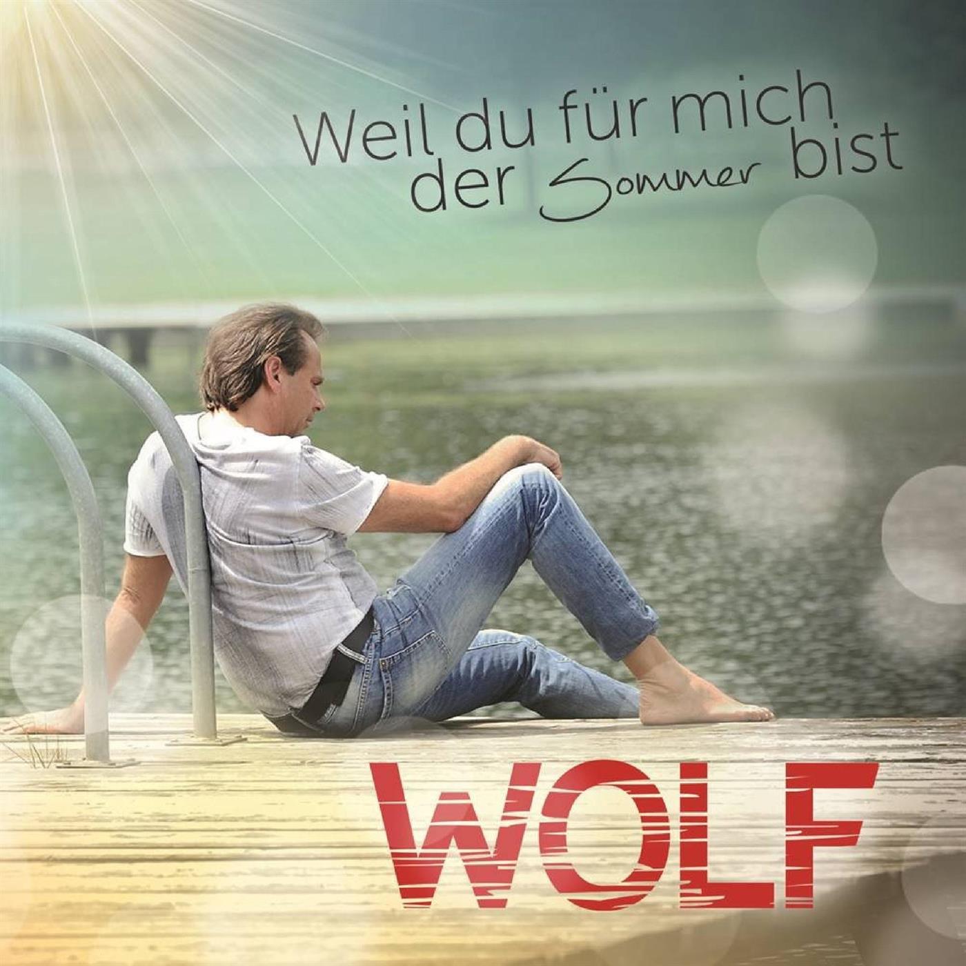 Weil du für mich der Sommer bist专辑