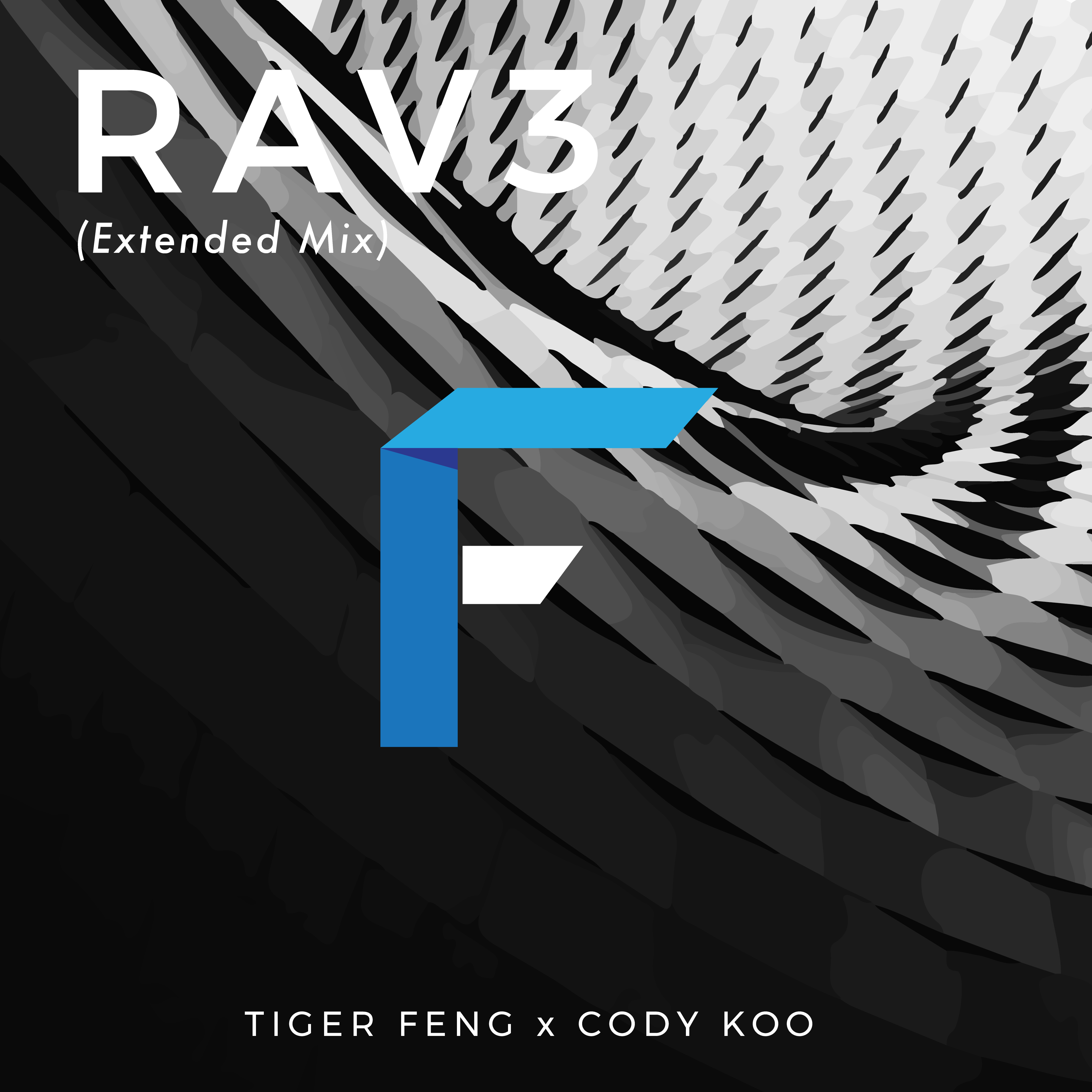 RAV3 (Extended Mix)专辑