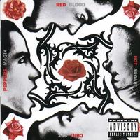 Blood Sugar Sex Magik - Red Hot Chili Peppers (Karaoke Version) 带和声伴奏