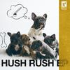 Rush Puppy - My Shit (Radio Edit)