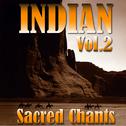 Ambient Voyage: Indians, Vol. 2专辑