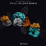 Still In Love Remix专辑