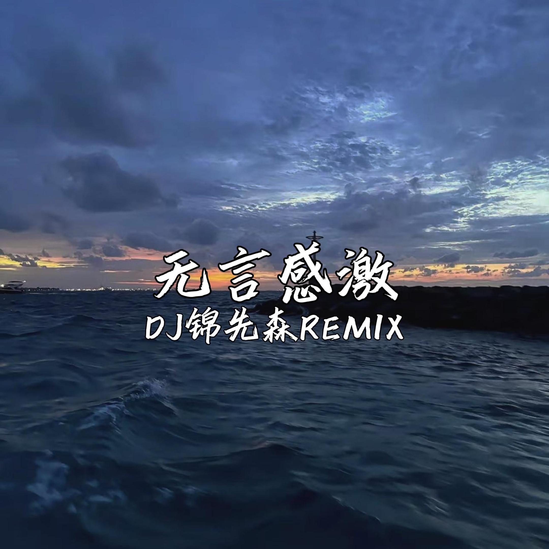 无言感激（DJ锦先森 Remix）