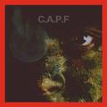 C.A.P.F