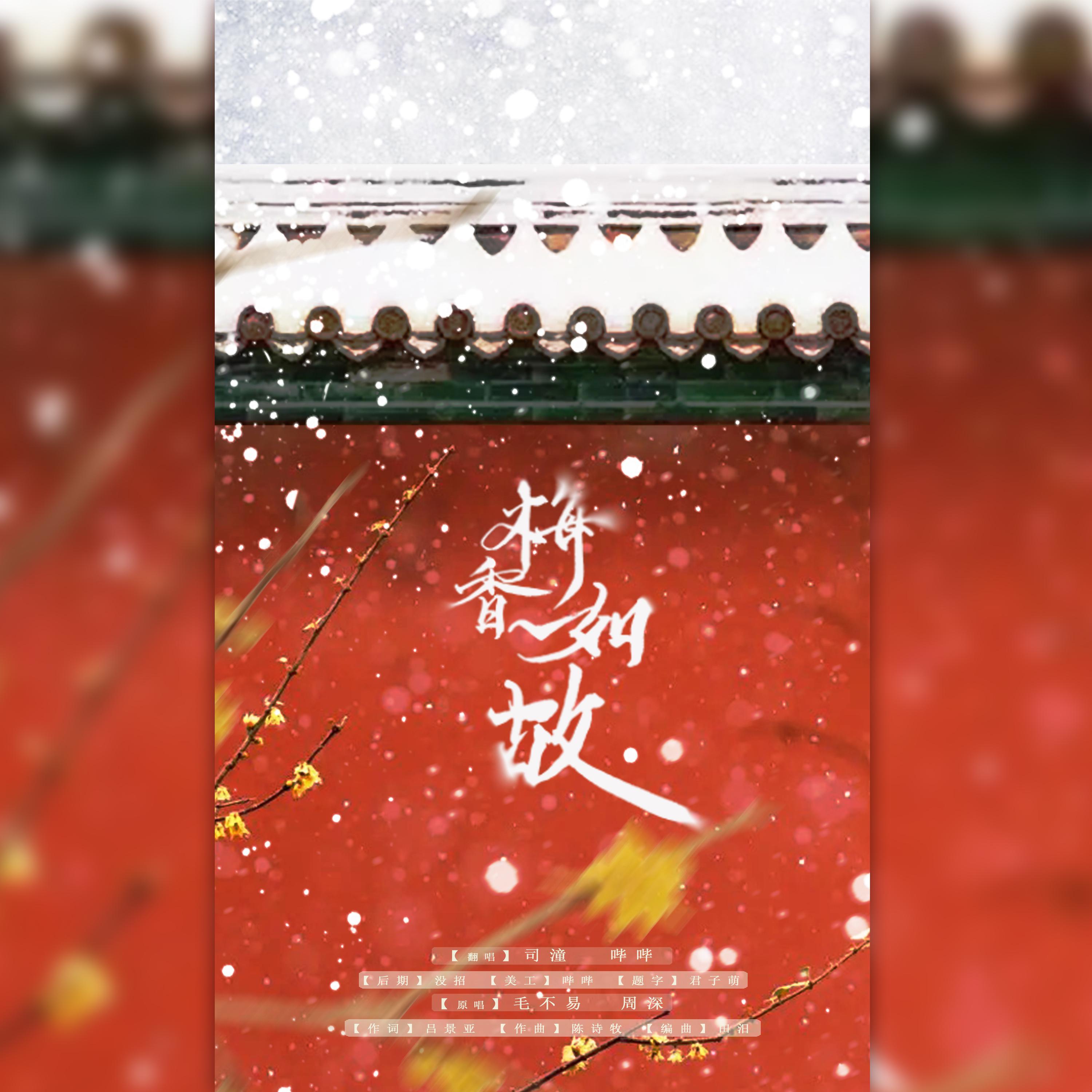 向深深看齐的梅香如故