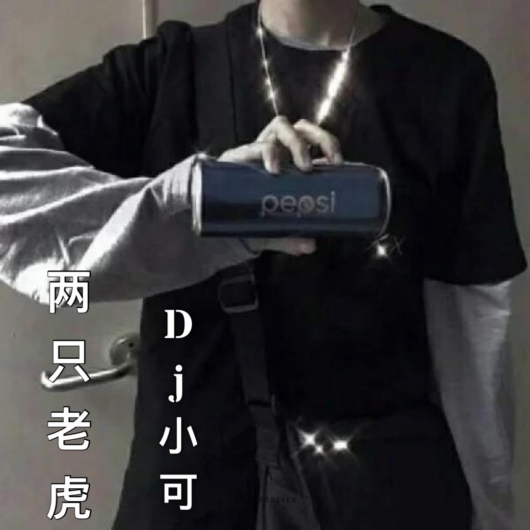 两只老虎