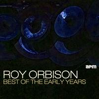 原版伴奏   Working For The Man - Roy Orbison