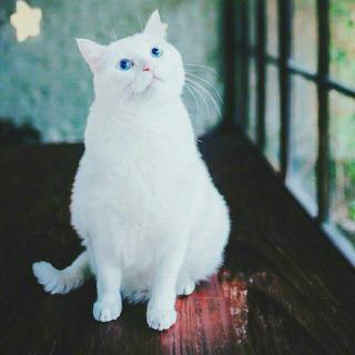 ♥♥『日食记』温暖舒缓背景音乐