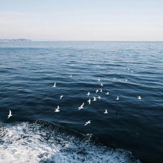 深蓝迷雾｜海风潮湿微咸 记忆带着海水味道