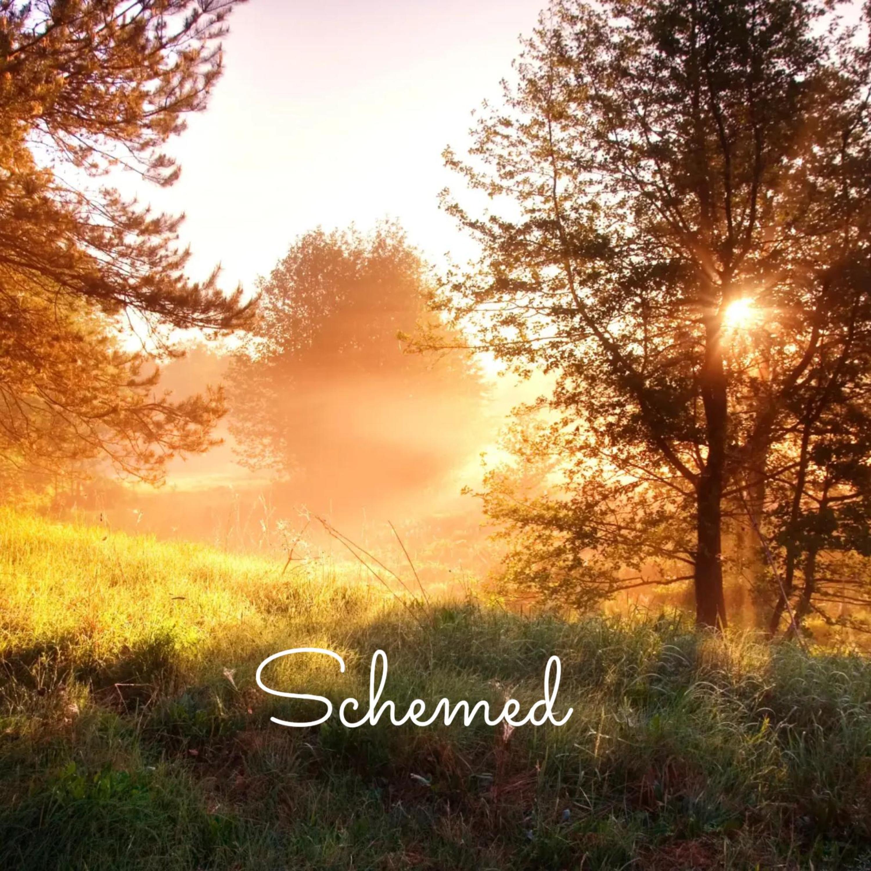 Sayerah - Schemed (feat. Billy Opel, Anis Don Demina & ODZ)