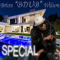 Brian BDub Wilson - Sexual Utopia (Instrumental) 无和声伴奏