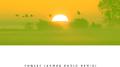 Sunset (Arma8 Radio Remix)专辑