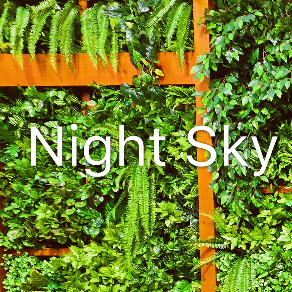 Night Sky（demo）专辑