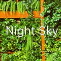 Night Sky（demo）