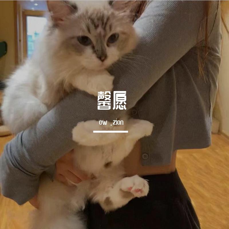 馨愿