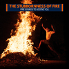 Fire Indulgence 3D Nature Music - Down To Mountains