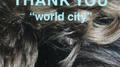 World City专辑
