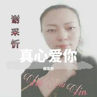 雨中百合-爱无处可逃