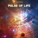 Pulse of Life专辑