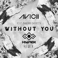 Without You (Hoaprox Remix)