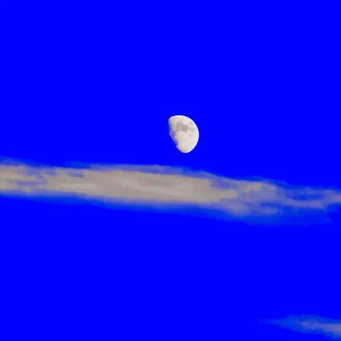 满目星辰皆是你