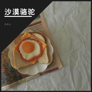 沙漠骆驼