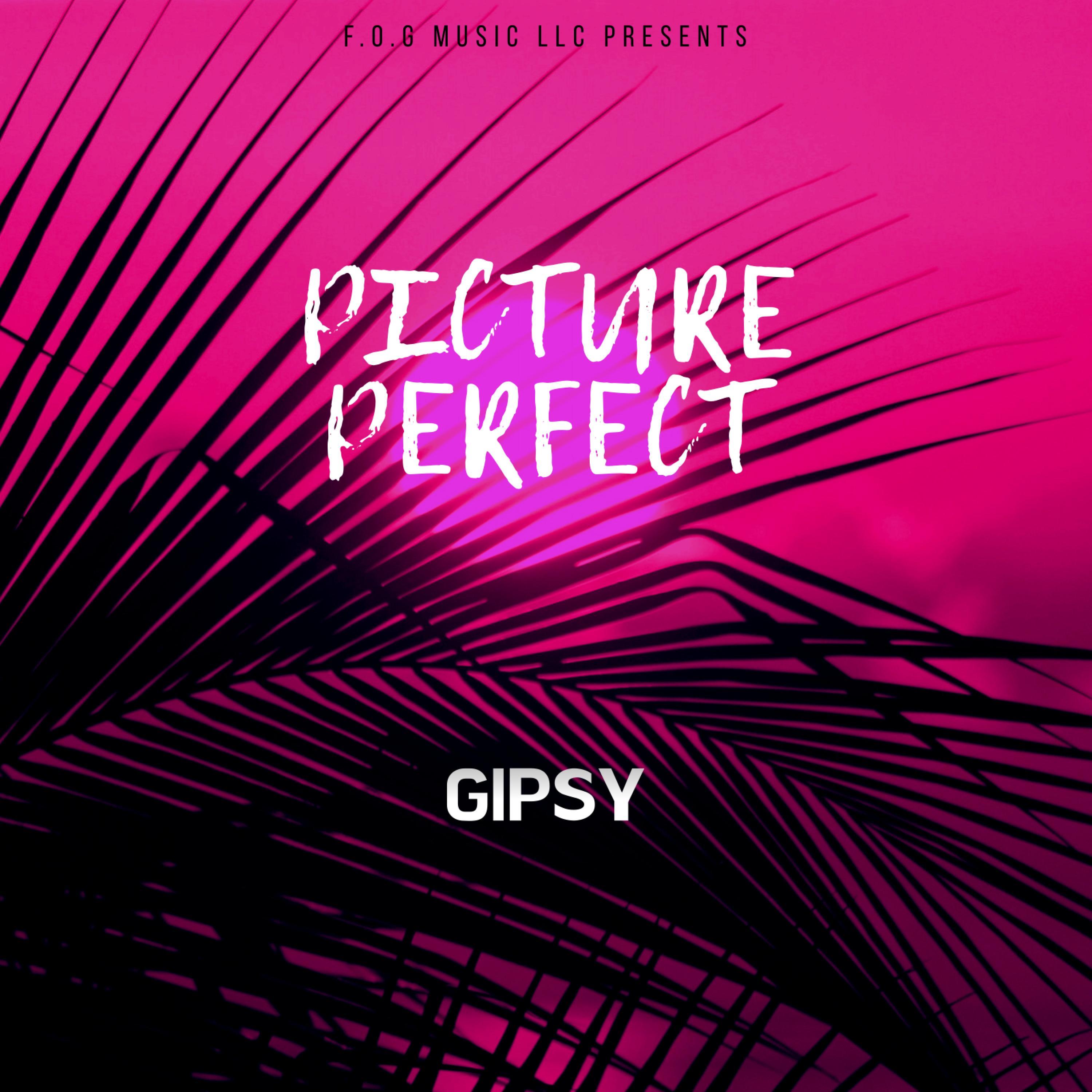 PICTURE PERFECT