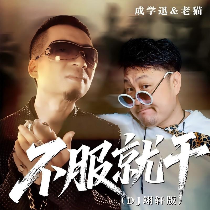 不服就干 (DJ翊轩版)