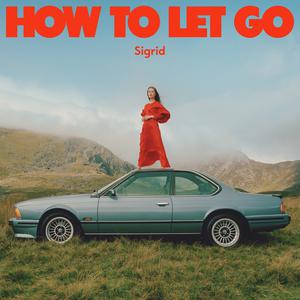 Sigrid - A Driver Saved My Night (BB Instrumental) 无和声伴奏