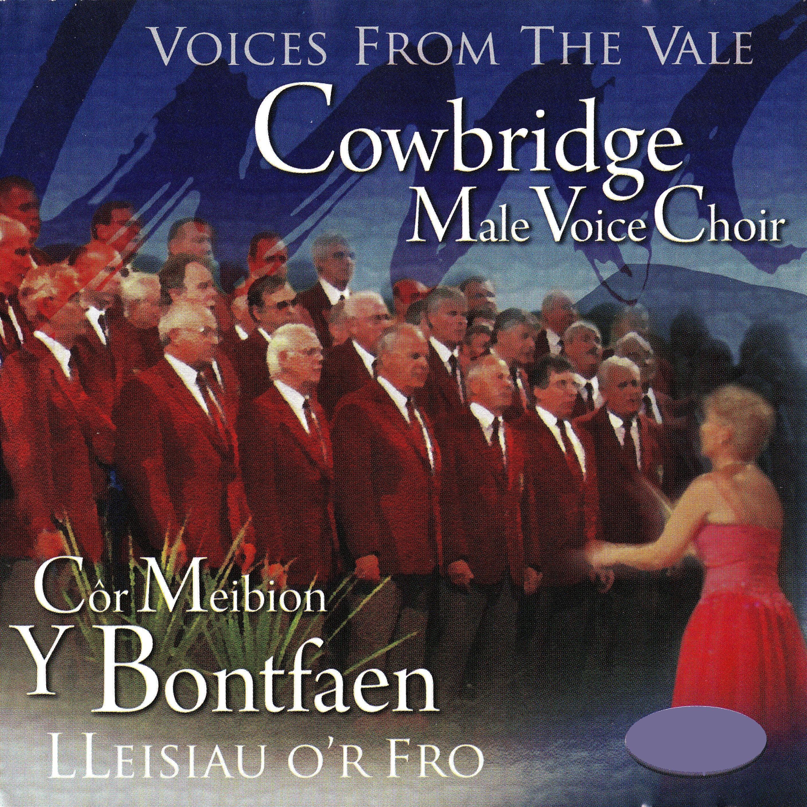 Voices from the Vale - Lleisiau O'R Fro