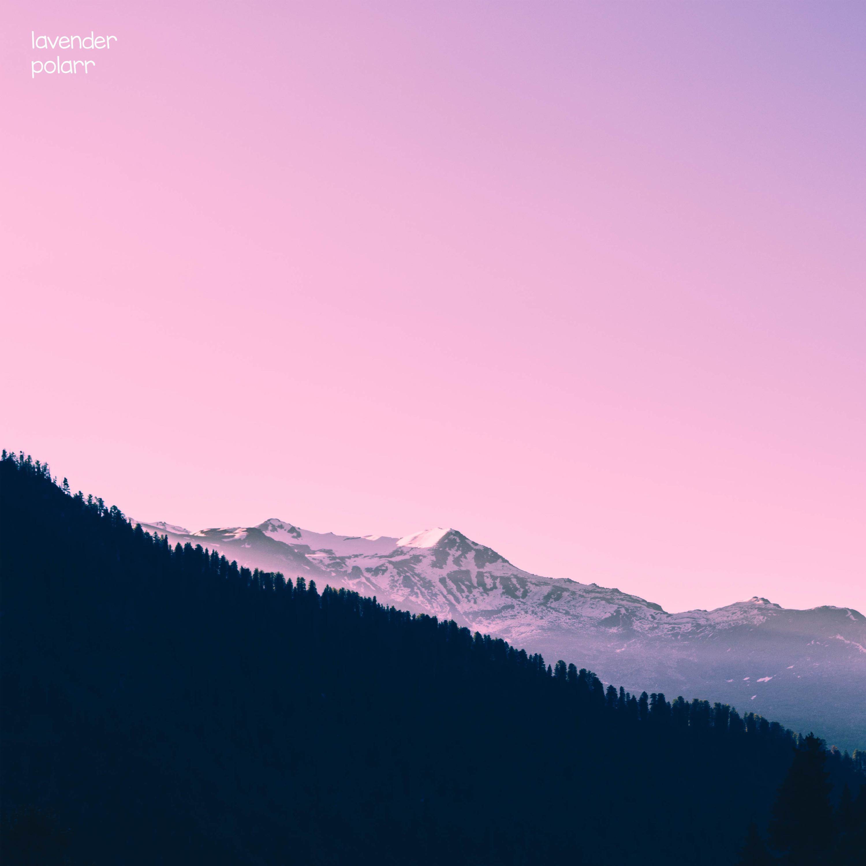 Lavender