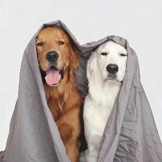 表白必备歌单 和TA一起成对收听