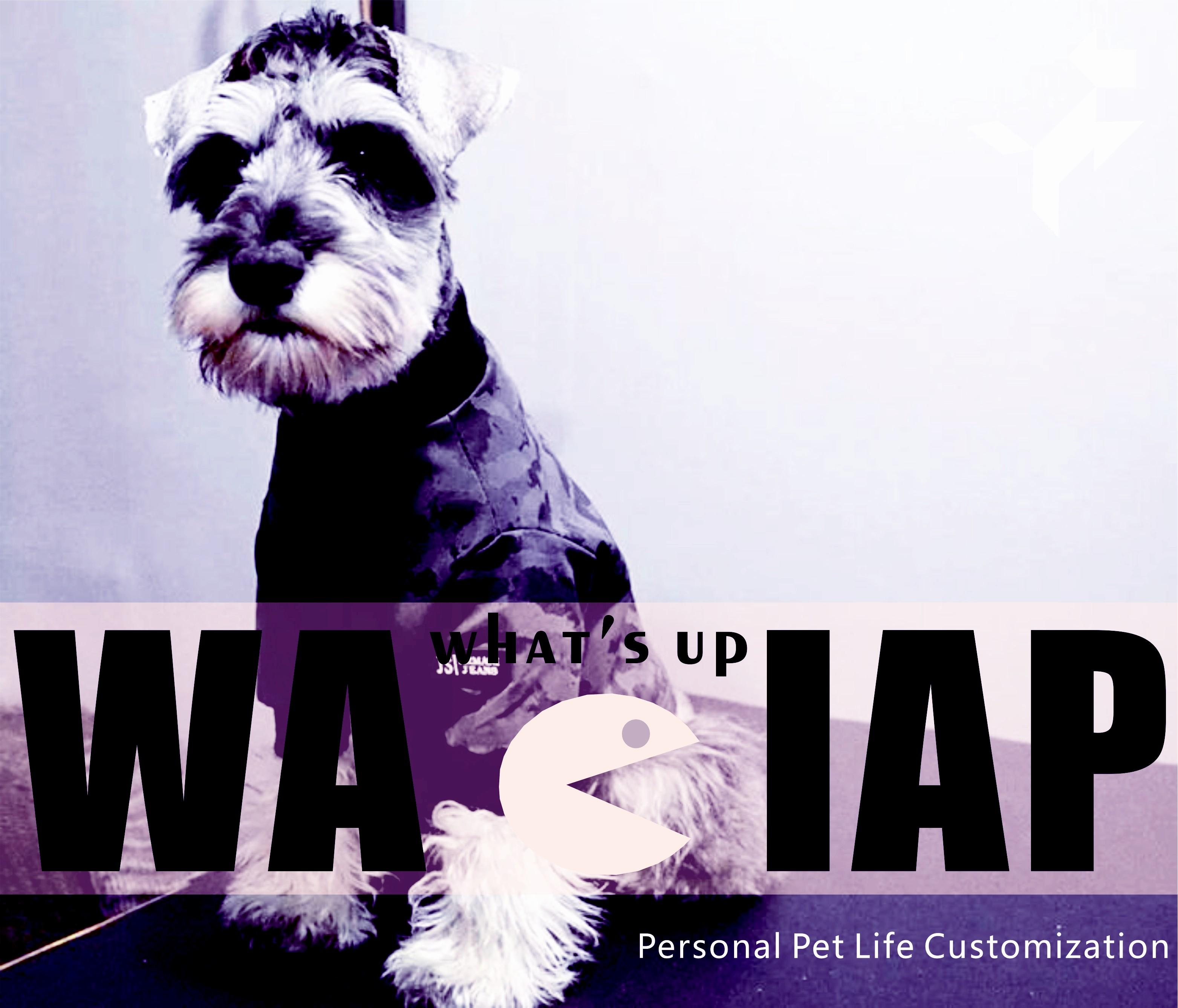 whassup(waciup宠物店酒吧推广曲)