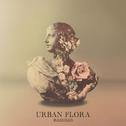 Urban Flora (Remixes)专辑