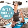 Nature Sounds & Yoga – Deep Meditation, Soft Music for Healing, Yoga, Stress Relief, Chakra Balancin