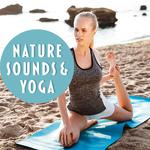 Nature Sounds & Yoga – Deep Meditation, Soft Music for Healing, Yoga, Stress Relief, Chakra Balancin专辑