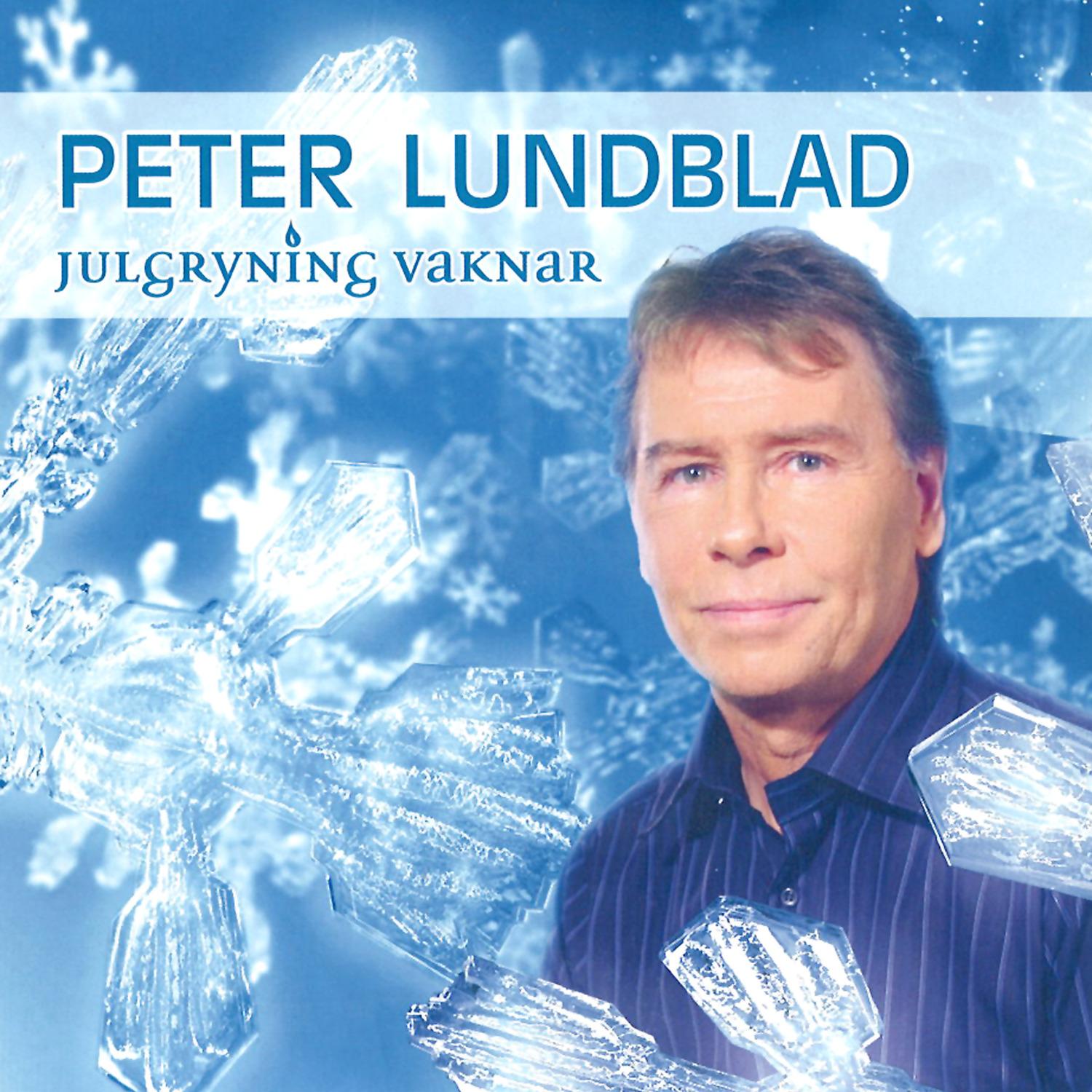 Julgryning Vaknar (Instrumental)
