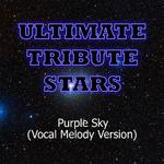 Kid Rock - Purple Sky (Vocal Melody Version)专辑