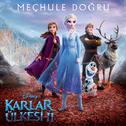 Meçhule Doğru (Karlar Ülkesi 2)