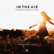 In The Air (Acoustic Mix)