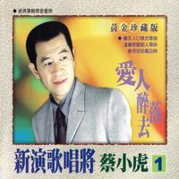 蔡小虎、龙千玉 - 美丽的错误 - 原版伴奏