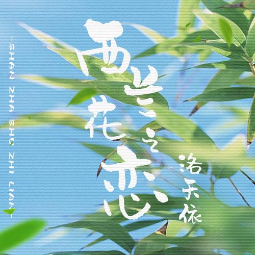 西兰花之恋