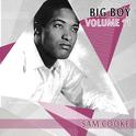 Big Boy Sam Cooke, Vol. 11专辑