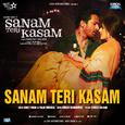 Sanam Teri Kasam (From "Sanam Teri Kasam")