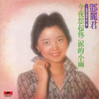 邓丽君# 祈望(自制原版消音伴奏)