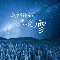 张妙格 - 我期待的不是雪 (而是有你的冬天)