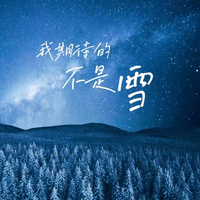 我期待的不是雪 (而是有你的冬天) （原版立体声）