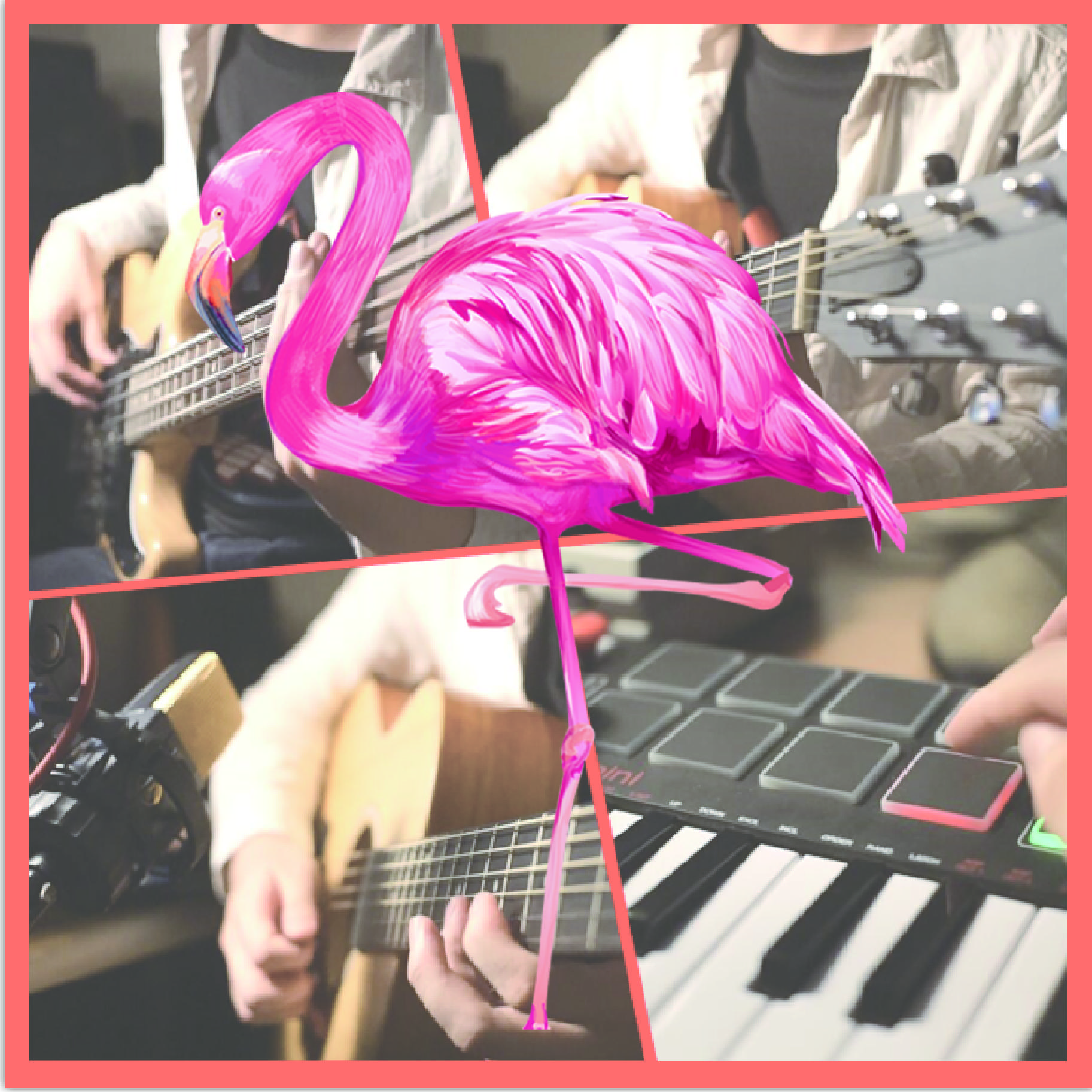 Flamingo专辑